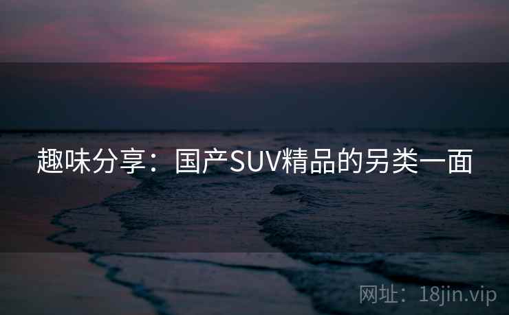 趣味分享：国产SUV精品的另类一面