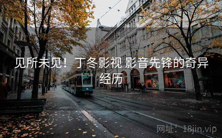 见所未见!丁冬影视 影音先锋的奇异经历
